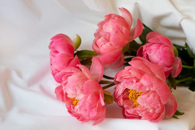 spring pink peony bouquet<br />
